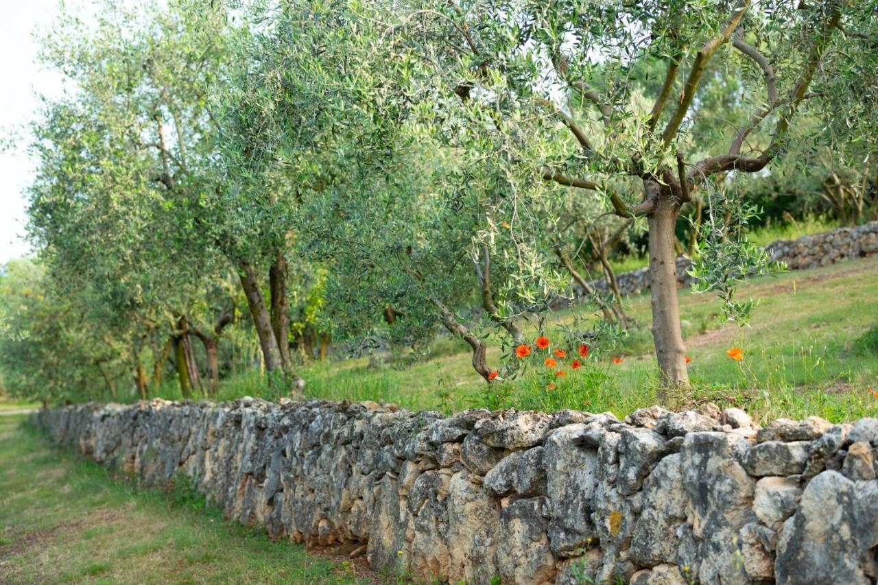 Agriturismo Sommavalle Villa Verona Kültér fotó